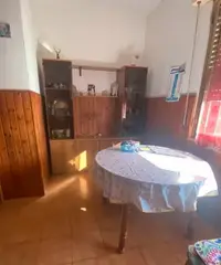Piombino 100 mt dal mare con giardino Piombino 100 mt dal mare con giardino