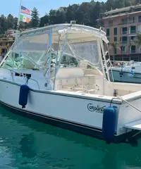 Carolina classic 28 con 2x260 Volvo penta d4 Carolina classic 28 con 2x260 Volvo penta d4