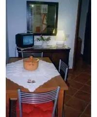 Deliziosa stanza singola Deliziosa stanza singola