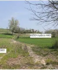 Rudere e terreno agricolo mq 5200 Rudere e terreno agricolo mq 5200