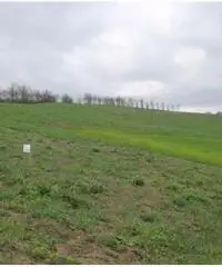 Rudere e terreno agricolo mq 5200 Rudere e terreno agricolo mq 5200