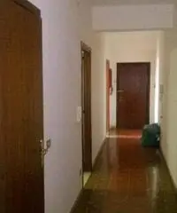 GIOIA TAURO - VIA SARDEGNA - VENDESI APPARTAMENTO GIOIA TAURO - VIA SARDEGNA - VENDESI APPARTAMENTO