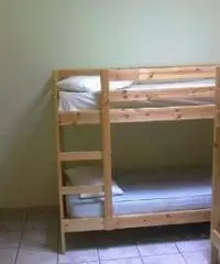 Affittasi camere con bagno Affittasi camere con bagno