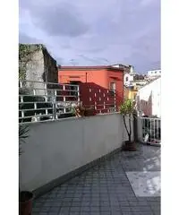 Fittasi stanza Fittasi stanza