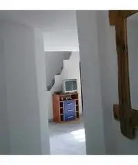 Fittasi stanza Fittasi stanza
