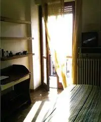 Ampia Singola Affittasi Ampia Singola Affittasi