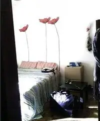 Ampia Singola Affittasi Ampia Singola Affittasi