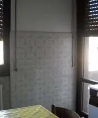 Camera Camera