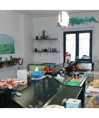 BAR nuova realizzazione vendesi BAR nuova realizzazione vendesi