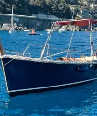 Gozzo baciccia primula mare Gozzo baciccia primula mare
