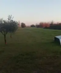 Terreno agricolo Terreno agricolo