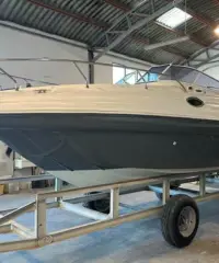 Ranieri Sea Lady 24 Ranieri Sea Lady 24