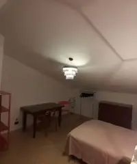 Fittasi appartamento