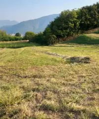 Terreno agricolo Terreno agricolo