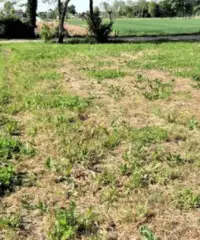 PIOMBINO DESE LOC. LEVADA - TERRENO EDIFICABILE DI