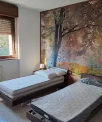 Camera singola in zona centrale a 250 euro