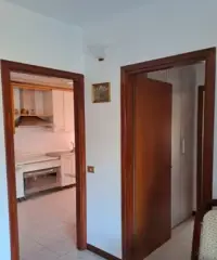 Camera singola in zona centrale a 250 euro