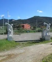 Terreno in Affitto di 2.000mq Terreno in Affitto di 2.000mq