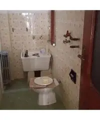 Appartamento Altro in Affitto Appartamento Altro in Affitto