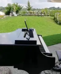 Pianista Bergamo Pianista Bergamo