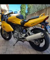 Ducati 620 ss Ducati 620 ss