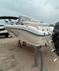 Ranieri Marvel 19 con Yamaha f40 getl Ranieri Marvel 19 con Yamaha f40 getl