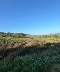 Terreno edificabile per villa mono/ bifamiliare a Tordenaso