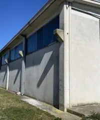 Terreno  Agricolo di 8 ha con pozzo e stalla a Sissa Trecasali