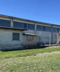 Terreno  Agricolo di 8 ha con pozzo e stalla a Sissa Trecasali