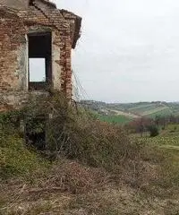 Rustico Altro - Corinaldo