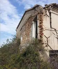 Rustico Altro - Corinaldo