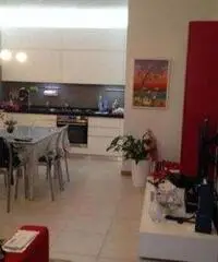 Ostra Vendita Appartamento 0mq