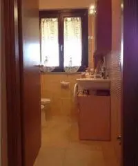 Ostra Vendita Appartamento 0mq