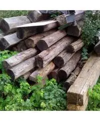 Travi antichi Travi antichi