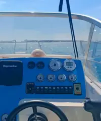Faeton 730 Sport + Mercruiser 4.5mpi V6 250cv Faeton 730 Sport + Mercruiser 4.5mpi V6 250cv