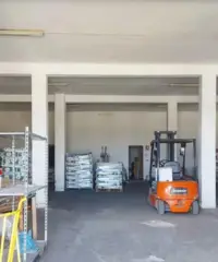 Complesso commerciale con cortile e pertinenze Complesso commerciale con cortile e pertinenze