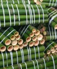 Vendo canne di bambù bambu con diametro da 1 cm. fino a 10 cm.
