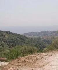 Rustico a Sapri Rustico a Sapri