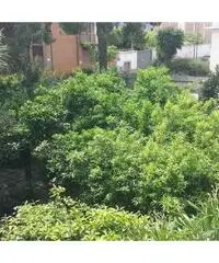 Appartamento 5 Locali, centro storico con terrazzo Appartamento 5 Locali, centro storico con terrazzo