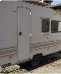 CI International - Piemonte CI International - Piemonte