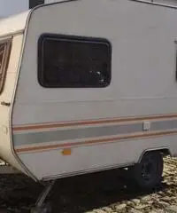 CI International - Piemonte CI International - Piemonte