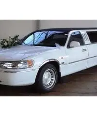 LIMOUSINE PER FESTA PRIVATA - Lucca LIMOUSINE PER FESTA PRIVATA - Lucca