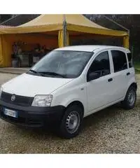 FIAT PANDA VAN METANO - Marche FIAT PANDA VAN METANO - Marche