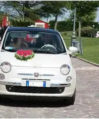 Noleggio fiat 500 (colore bianco perla) per cerimonie - Molise Noleggio fiat 500 (colore bianco perla) per cerimonie - Molise