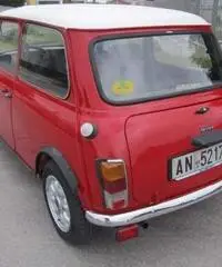 Mini Flame Red 1.0cc - Campobasso Mini Flame Red 1.0cc - Campobasso