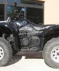 WT Motors WT500 Ram 2007 WT Motors WT500 Ram 2007