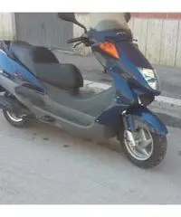 Honda pantem Honda pantem