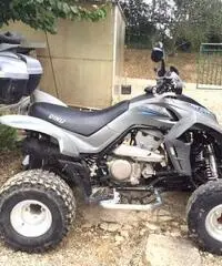 QUAD DINLI 450