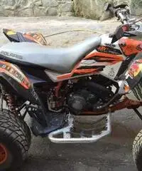 QUAD POLARIS