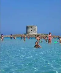STINTINO MONO IN RESIDENCE CON PISCINA ULTIME DISPONIBILITA' STINTINO MONO IN RESIDENCE CON PISCINA ULTIME DISPONIBILITA'
